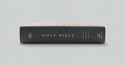 Spine of the Holy Bible on a neutral background.
