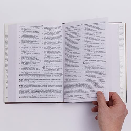Person holding open Bible showing text.