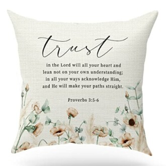 Bible Verse Throw Pillow Case
